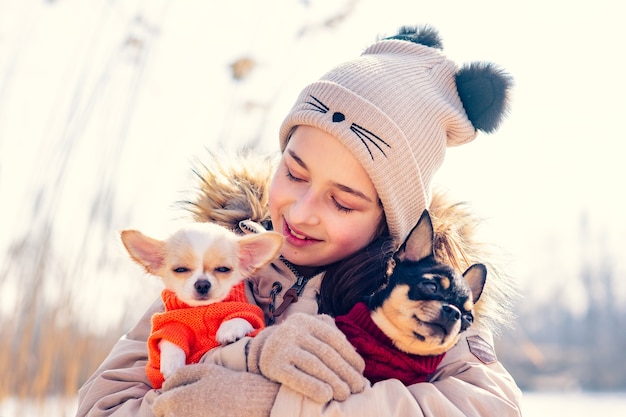 Adolescente abraza a sus dos perros chihuahua cachorro y perro adulto. Perrito chihuahua