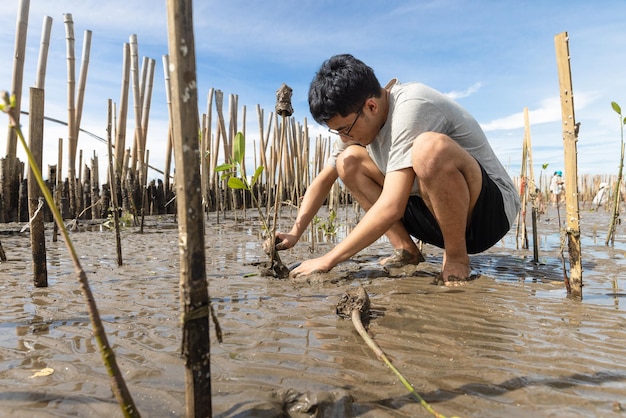 Adolescente asiático voluntário para reflorestar a reabilitação da floresta de mangue sentado entre o solo cud e plantando sua árvore