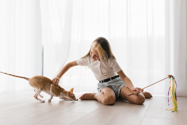 Una adolescente caucásica sentada en el suelo jugando con un gato Cornish Rex con un teaser de palo en la casa