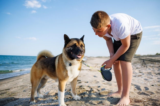 Adolescente com cabelo loiro e coleira nas mãos brinca e caminha com cachorro da raça Akina Inu na praia selvagem ao longo do Mar Negro