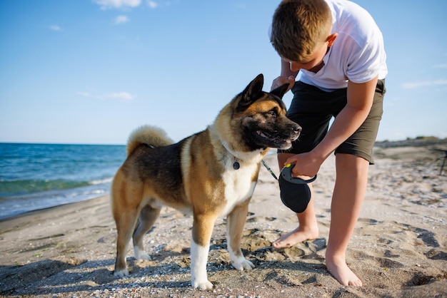 Adolescente com cabelo loiro e coleira nas mãos brinca e caminha com cachorro da raça Akina Inu na praia selvagem ao longo do Mar Negro