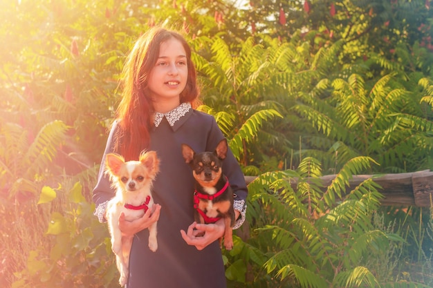 Adolescente com cachorros chihuahua preto e branco ao ar livre Menina colegial e cachorro de estimação