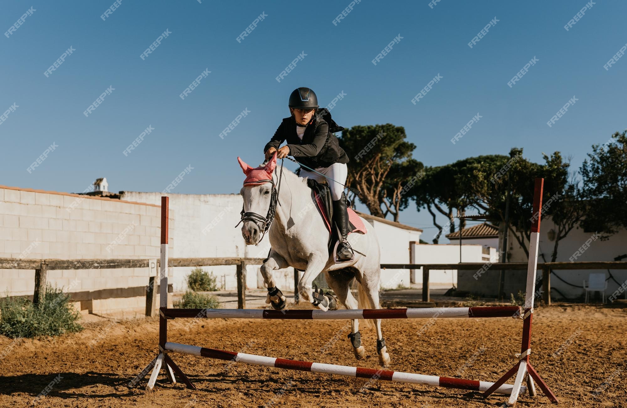 Foto de Cavalo Pulando Obstáculos e mais fotos de stock de