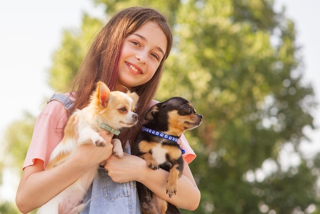 Adolescente con dos perros chihuahua en un día de verano. Linda chica con mascotas en la naturaleza.