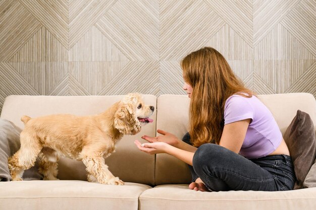 Adolescente e spaniel americano brincando no sofá da sala de estar