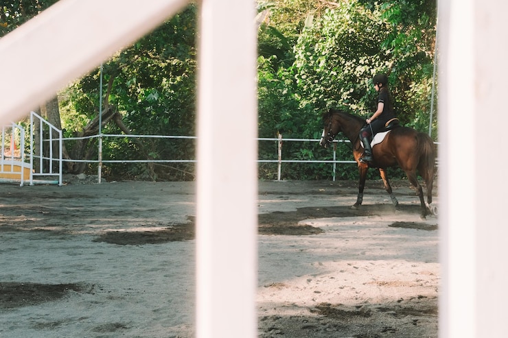 Foto una adolescente está montando un caballo en una arena al aire libre aprendiendo a montar a caballo