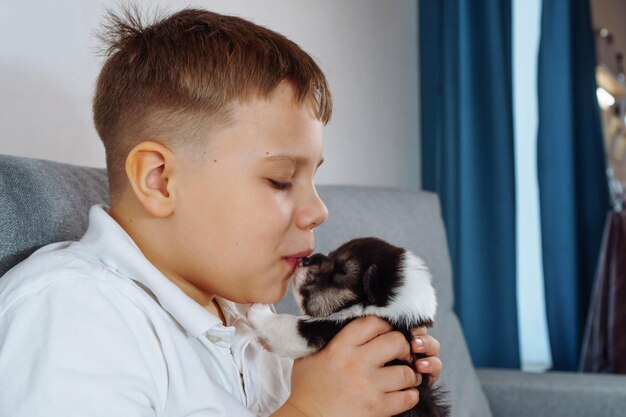 Adolescente está sentado en casa en el sofá sosteniendo un cachorro de corgi galés en sus manos y besándolo suavemente en la nariz