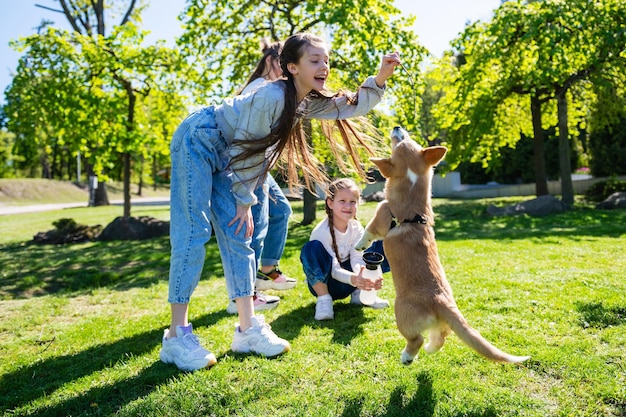 Adolescente provocando seu cachorrinho enquanto brincava com ele