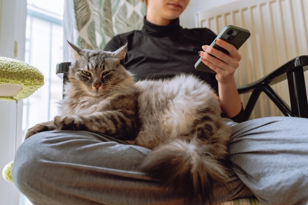 Foto una adolescente sentada en una silla sosteniendo un gato y mirando el teléfono