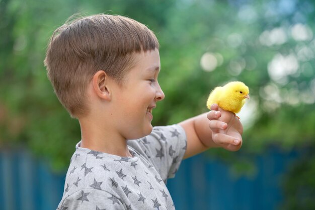 un adolescente sostiene un pollo amarillo en la palma de su mano en el patio de la casa