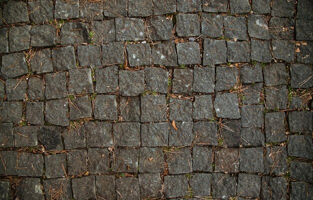 El adoquín está hecho de piedra gris. Acera o camino en el parque. Otoño. Fondo y textura.