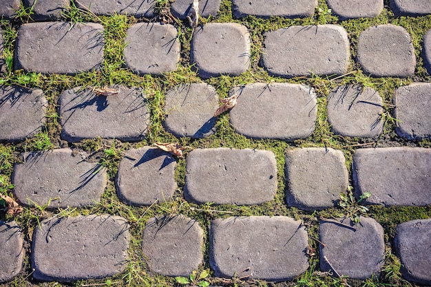 Adoquines grises en el parque de cerca