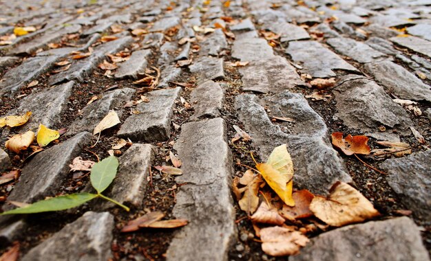 Adoquines, textura de pavimento de piedra en la ciudad