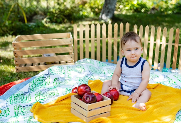 Adorable Baby Boy Essen Apfel spielen auf bunten Decke im grünen Gras Kind mit Äpfeln Baby Junge isst gesunde Lebensmittel