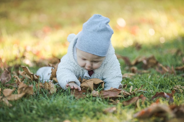 Adorable bebé arrastrándose en las hojas caídas en la luz del sol de la mañana