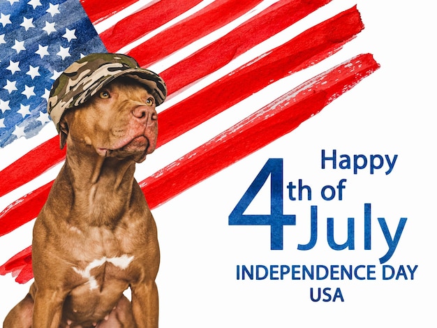 Adorable cachorro marrón encantador y bandera estadounidense