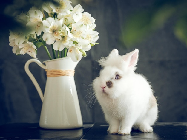 Adorable conejo blanco esponjoso con ramo de flores frescas de Alstroemeria en jarra de cerámica sobre fondo borroso