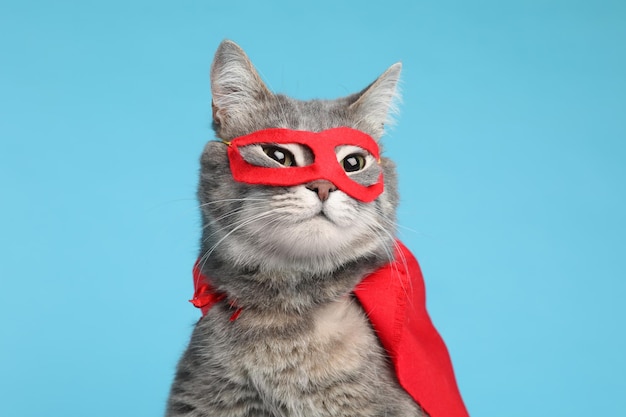 Adorable gato con capa de superhéroe rojo y máscara sobre fondo azul claro