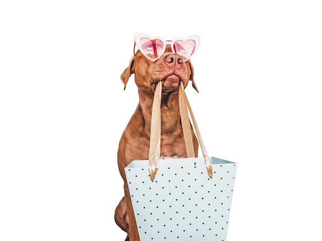 Adorable lindo cachorro marrón y bolsa de compras