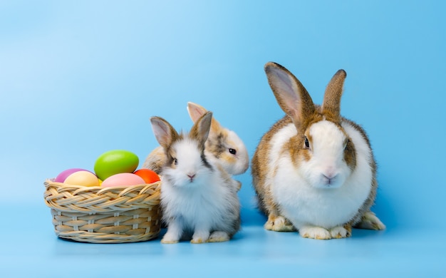 Adorable madre conejo con dos conejitos sentados junto a coloridos huevos de pascua en la canasta