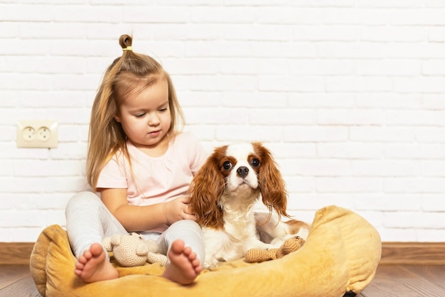 Adorable niña con cachorro jugando en casa. Niño con perrito interior. La mejor y más amigable mascota para niños y familias, amor por la mascota, amor por los perros, relación especial con la mascota.