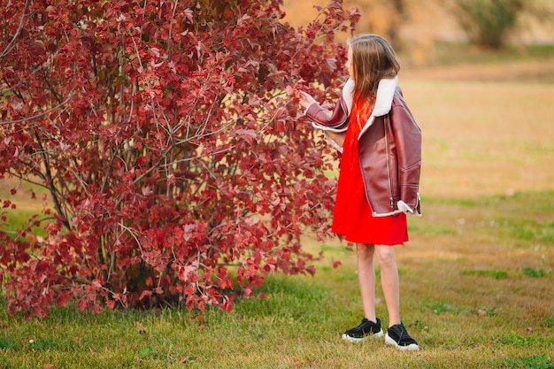 Adorable niña en el hermoso día de otoño al aire libre