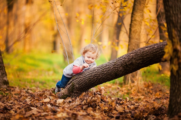 Adorable niña con hojas de otoño