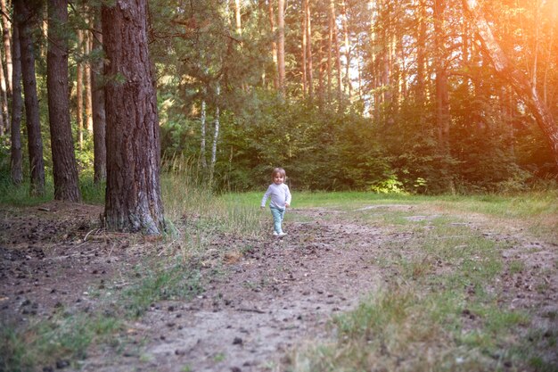 Adorable niño camina en el bosque bosque día soleado de verano