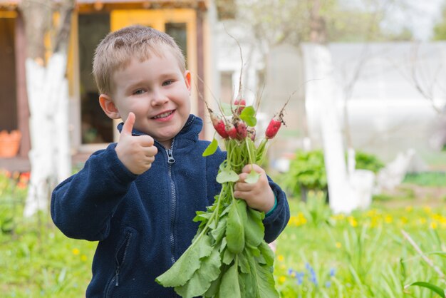 Adorable niño con el manojo de rábano muestra el pulgar hacia arriba y sonríe. Foto de verano joven agricultor