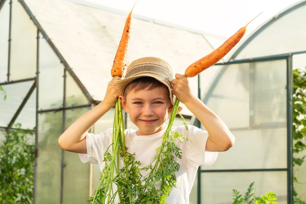 Adorable niño niño con sombrero de paja con zanahorias en el jardín interno. Kid jardinería y cosecha. Concepto de vegetales orgánicos saludables para niños. Vegetarianismo infantil