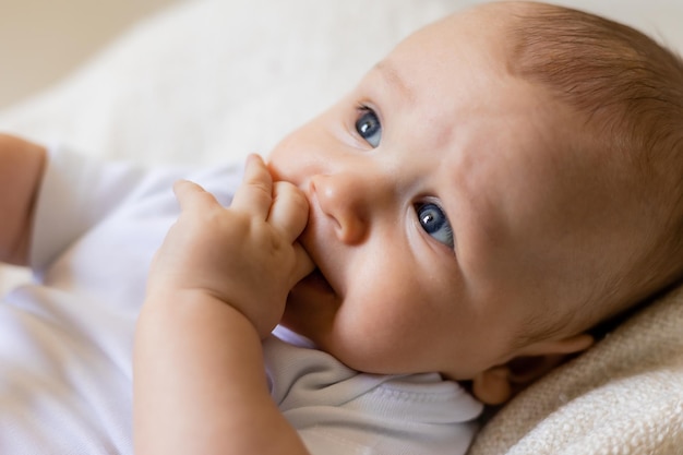 adorable pequeño de cuerpo blanco tendido en una canasta, tarjeta, pancarta, salud