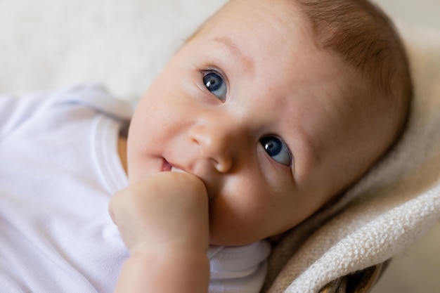 adorable pequeño de cuerpo blanco tendido en una canasta, tarjeta, pancarta, salud