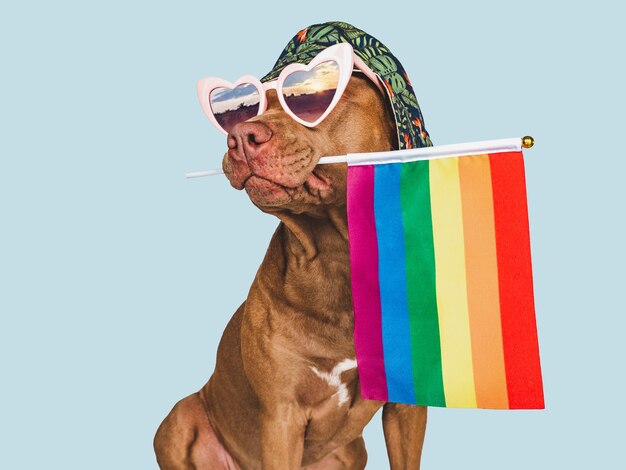 Adorable perro bonito y primer plano de la bandera del arco iris