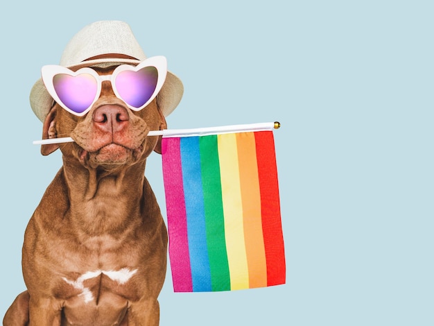 Adorable perro bonito y primer plano de la bandera del arco iris