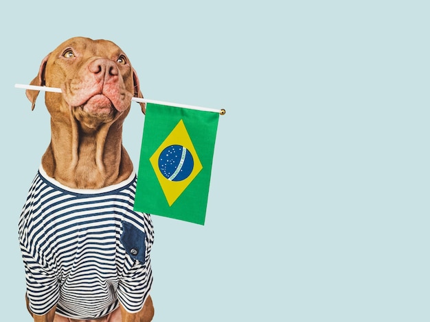 Adorable perro bonito y primer plano de la bandera brasileña