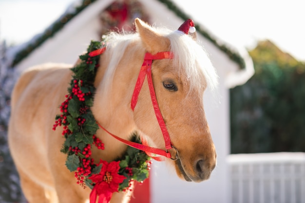 Adorable pony con una guirnalda festiva cerca de la pequeña casa de madera y los árboles cubiertos de nieve.