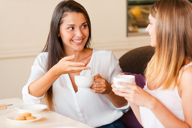 Adoramos passar tempo juntos. duas belas moças bebendo café e conversando enquanto estão sentadas juntas em uma cafeteria