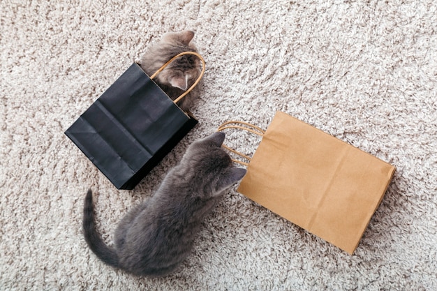 Adoráveis gatinhos malhados estão escondidos em sacolas de papel em casa no tapete. gato parece fora do saco de papel. presente no gatinho de dia dos namorados em pacote surpresa. conceito de compra de venda. vista do topo.