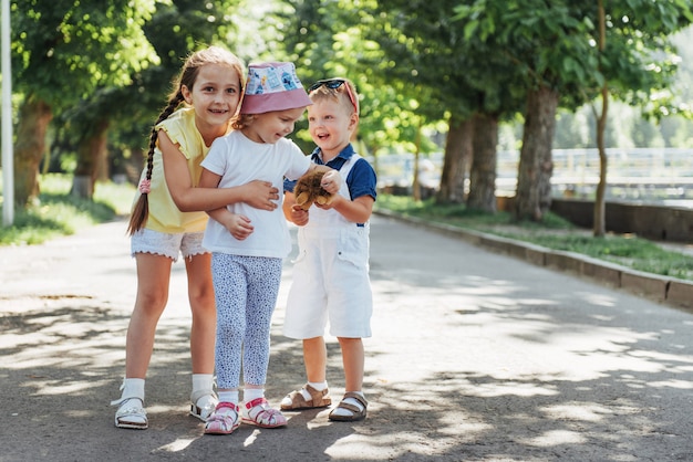 Adoráveis lindos filhos brincando no parque