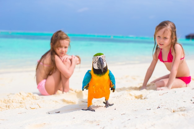 Adoráveis meninas na praia com papagaio colorido