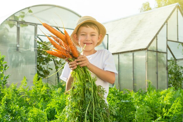 Adorável criança menino com chapéu de palha com cenouras no jardim doméstico. jardinagem e colheita infantil. conceito de vegetais orgânicos saudáveis para crianças. vegetarianismo infantil