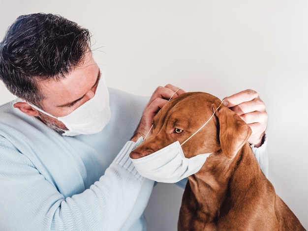 Adorável e encantador cachorrinho e seu dono carinhoso.