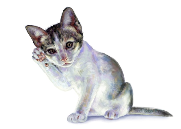Adorável gatinho branco levantar a perna dianteira, como saudação pose, isolado no fundo branco, pintura digital.