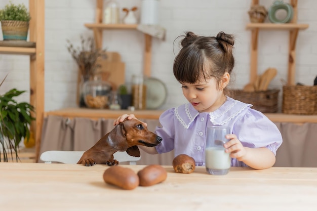 Adorável menina com um pequeno dachshund bebendo leite na cozinha. espaço para texto, banner