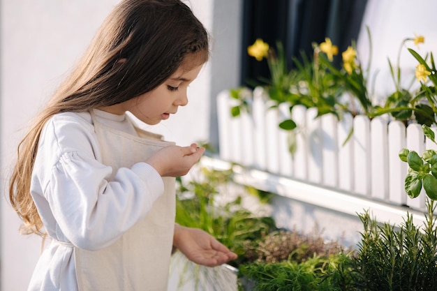 Adorável menina prova verduras frescas de seu canteiro debaixo da janela na varanda