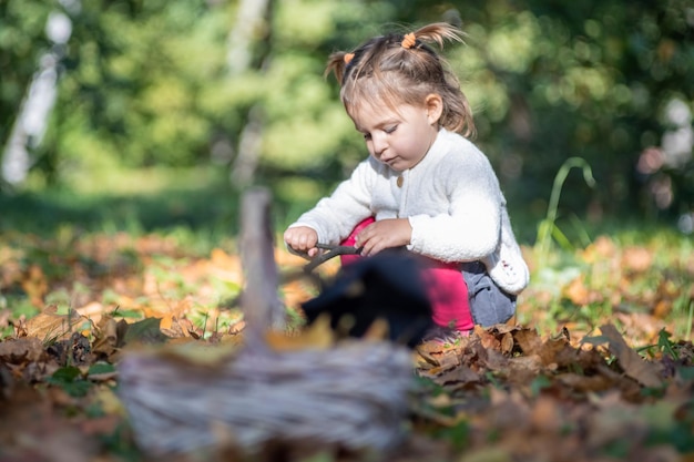 Adorável menina sentada na grama na floresta de outono, no fundo da cesta em