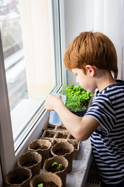 Adorável menino ruivo de 67 anos regando uma planta em vaso no peitoril da janela o conceito de aprender a cultivar plantas para pré-escolares e ensinar as crianças sobre árvores na natureza