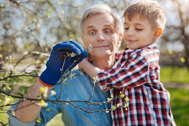 Adorável vovô usando uma luva azul marinho de jardim, segurando seu neto nos braços e mostrando a ele as folhas juvenis de uma árvore frutífera