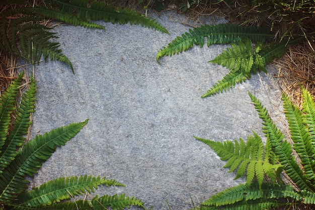 Foto adorno floral de hojas de helecho sobre una piedra plana