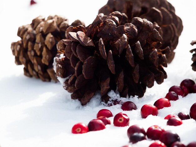 Adorno de Navidad en la nieve con arándanos.